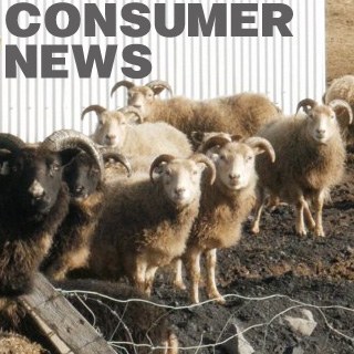 News & Reports